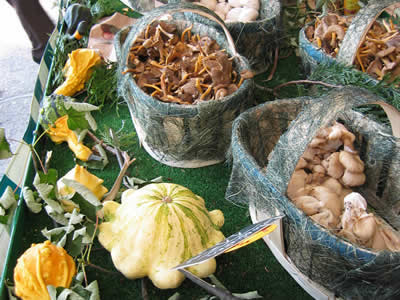 La Ferme de Beauchamp